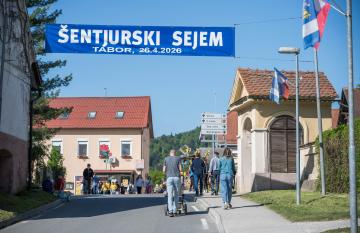 Dan brez avtomobila